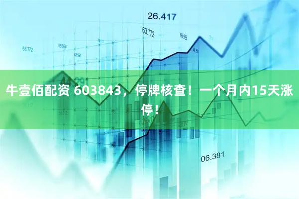 牛壹佰配资 603843，停牌核查！一个月内15天涨停！