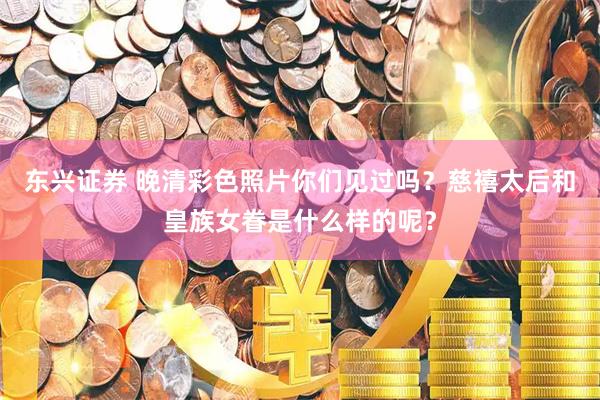 东兴证券 晚清彩色照片你们见过吗？慈禧太后和皇族女眷是什么样的呢？