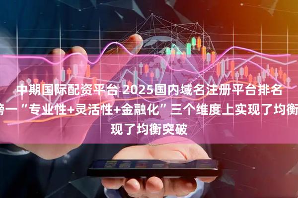 中期国际配资平台 2025国内域名注册平台排名榜:榜一“专业性+灵活性+金融化”三个维度上实现了均衡突破