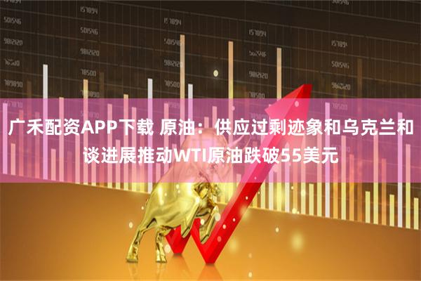 广禾配资APP下载 原油：供应过剩迹象和乌克兰和谈进展推动WTI原油跌破55美元