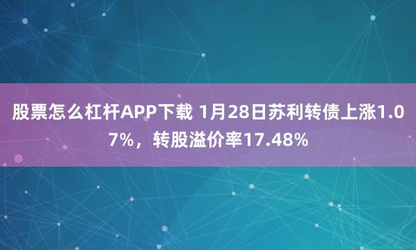 股票怎么杠杆APP下载 1月28日苏利转债上涨1.07%，转股溢价率17.48%